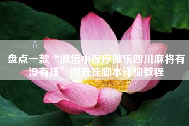 盘点一款“微信小程序微乐四川麻将有没有挂”附开挂脚本详细教程