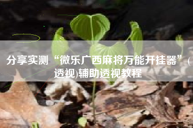 分享实测“微乐广西麻将万能开挂器”(透视)辅助透视教程