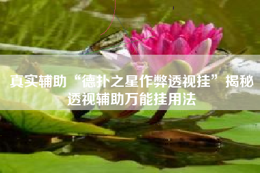 真实辅助“德扑之星作弊透视挂”揭秘透视辅助万能挂用法