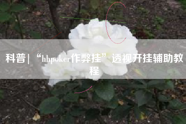 科普|“hhpoker作弊挂	”透视开挂辅助教程