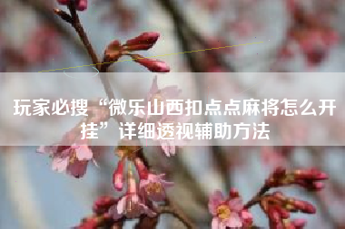 玩家必搜“微乐山西扣点点麻将怎么开挂”详细透视辅助方法