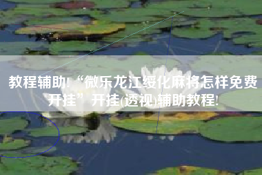 教程辅助!“微乐龙江绥化麻将怎样免费开挂”开挂(透视)辅助教程!