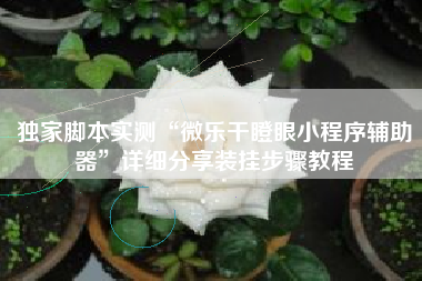 独家脚本实测“微乐干瞪眼小程序辅助器	”详细分享装挂步骤教程