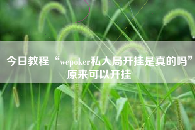 今日教程“wepoker私人局开挂是真的吗”原来可以开挂