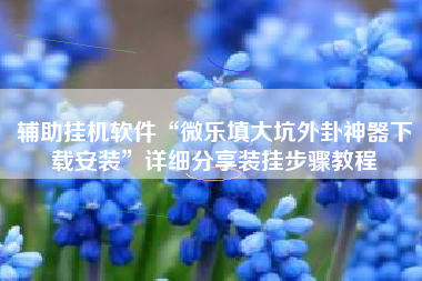 辅助挂机软件“微乐填大坑外卦神器下载安装”详细分享装挂步骤教程