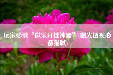 玩家必读“微乐开挂神器”(曝光透视必备猫腻)