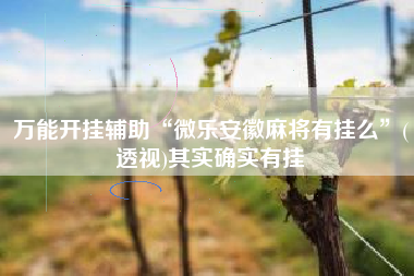 万能开挂辅助“微乐安徽麻将有挂么	”(透视)其实确实有挂