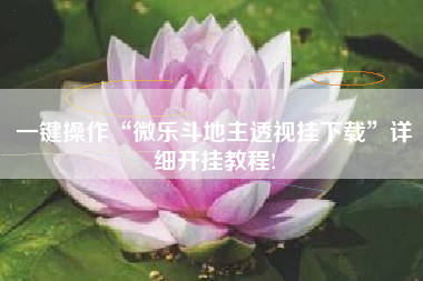 一键操作“微乐斗地主透视挂下载	”详细开挂教程!