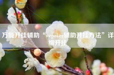 万能开挂辅助“wepoker辅助开挂方法”详细开挂