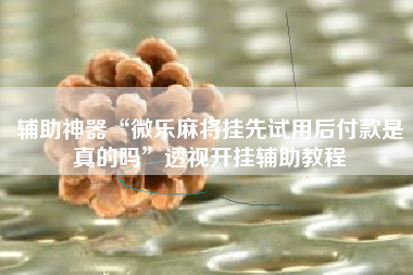 辅助神器“微乐麻将挂先试用后付款是真的吗”透视开挂辅助教程