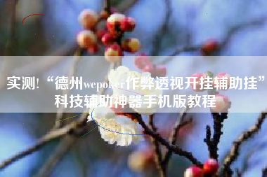 实测!“德州wepoker作弊透视开挂辅助挂”科技辅助神器手机版教程