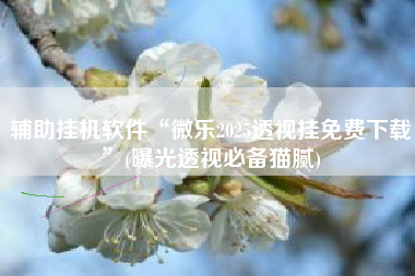 辅助挂机软件“微乐2025透视挂免费下载”(曝光透视必备猫腻)