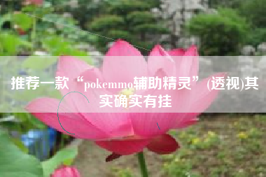 推荐一款“pokemmo辅助精灵	”(透视)其实确实有挂