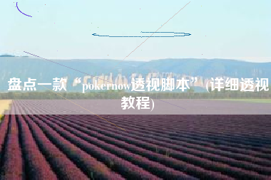 盘点一款“pokernow透视脚本	”(详细透视教程)