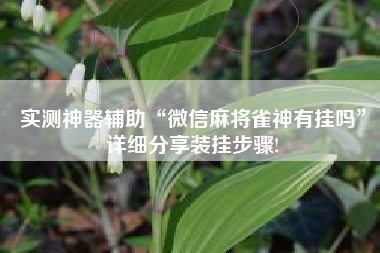 实测神器辅助“微信麻将雀神有挂吗	”详细分享装挂步骤!