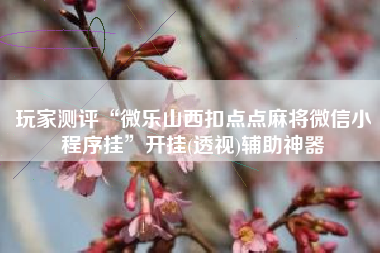 玩家测评“微乐山西扣点点麻将微信小程序挂	”开挂(透视)辅助神器