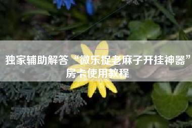独家辅助解答“微乐捉老麻子开挂神器”房卡使用教程