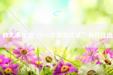 教大家使用“WPK作弊软件挂”有开挂透视