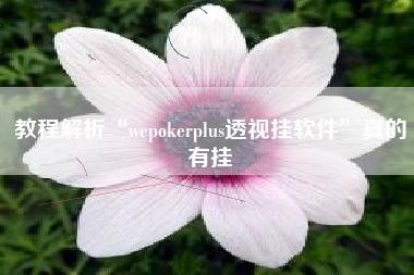 教程解析“wepokerplus透视挂软件	”真的有挂