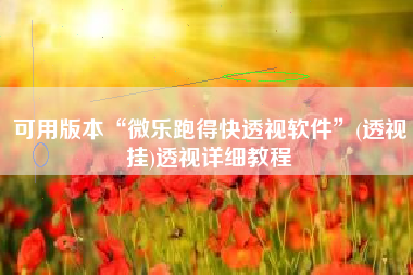 可用版本“微乐跑得快透视软件”(透视挂)透视详细教程