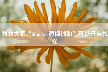 教教大家“hhpoker透视辅助	”可以开挂教程