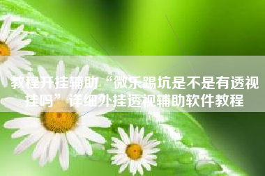 教程开挂辅助“微乐踢坑是不是有透视挂吗	”详细外挂透视辅助软件教程