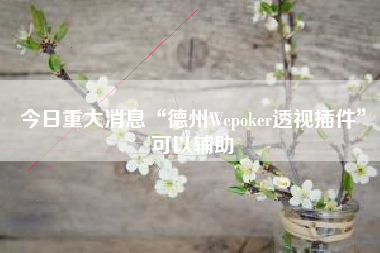 今日重大消息“德州Wepoker透视插件”可以辅助