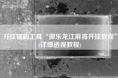 开挂辅助工具“微乐龙江麻将开挂教程”(详细透视教程)