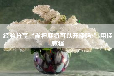 经验分享“雀神麻将可以开挂吗?”用挂教程