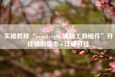 实操教程“wepokerplus辅助工具插件	”开挂辅助脚本+详细开挂