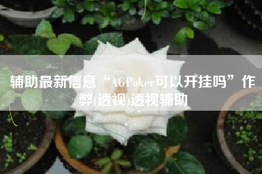 辅助最新信息“AGPoker可以开挂吗	”作弊(透视)透视辅助