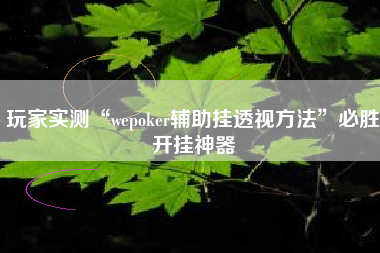 玩家实测“wepoker辅助挂透视方法	”必胜开挂神器