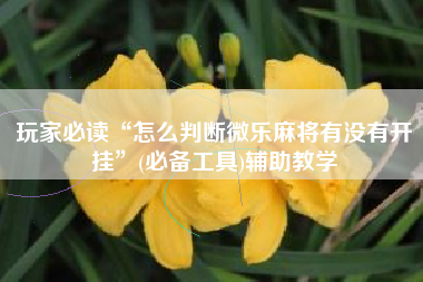 玩家必读“怎么判断微乐麻将有没有开挂”(必备工具)辅助教学