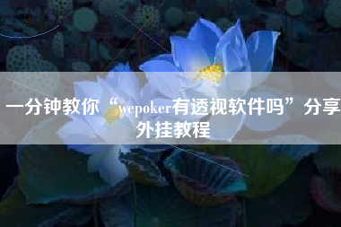 一分钟教你“wepoker有透视软件吗	”分享外挂教程
