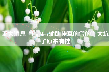 重大消息“hhpoker辅助挂真的假的”太坑了原来有挂