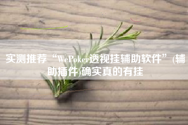 实测推荐“WePoker透视挂辅助软件	”(辅助插件)确实真的有挂