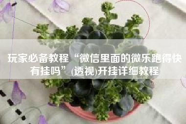 玩家必备教程“微信里面的微乐跑得快有挂吗”(透视)开挂详细教程