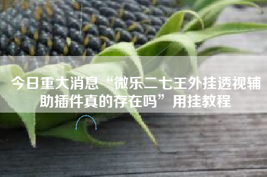 今日重大消息“微乐二七王外挂透视辅助插件真的存在吗”用挂教程