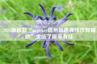 2026最新款“wepoker德州局透视挂作弊辅助	”太坑了原来有挂