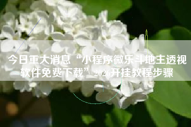 今日重大消息“小程序微乐斗地主透视软件免费下载”2026开挂教程步骤