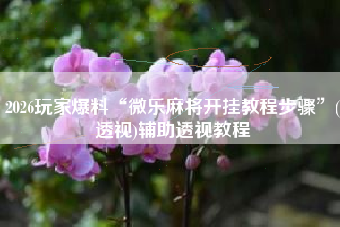 2026玩家爆料“微乐麻将开挂教程步骤	”(透视)辅助透视教程