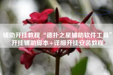 辅助开挂教程“德扑之星辅助软件工具	”开挂辅助脚本+详细开挂安装教程