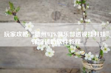 玩家攻略“德州WPK俱乐部透视挂开挂”详细辅助软件教程