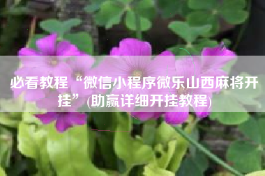 必看教程“微信小程序微乐山西麻将开挂	”(助赢详细开挂教程)