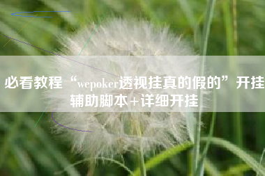 必看教程“wepoker透视挂真的假的	”开挂辅助脚本+详细开挂
