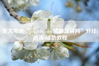重大发现“pokermaster辅助器官网	”开挂(透视)辅助教程