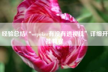 经验总结“wepoker有没有透视挂”详细开挂教程