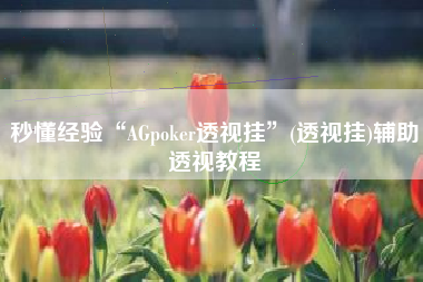秒懂经验“AGpoker透视挂	”(透视挂)辅助透视教程
