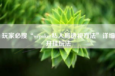 玩家必搜“wepoker私人局透视方法”详细开挂玩法