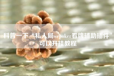 科普一下“私人局wepoker看牌辅助插件	”可以开挂教程